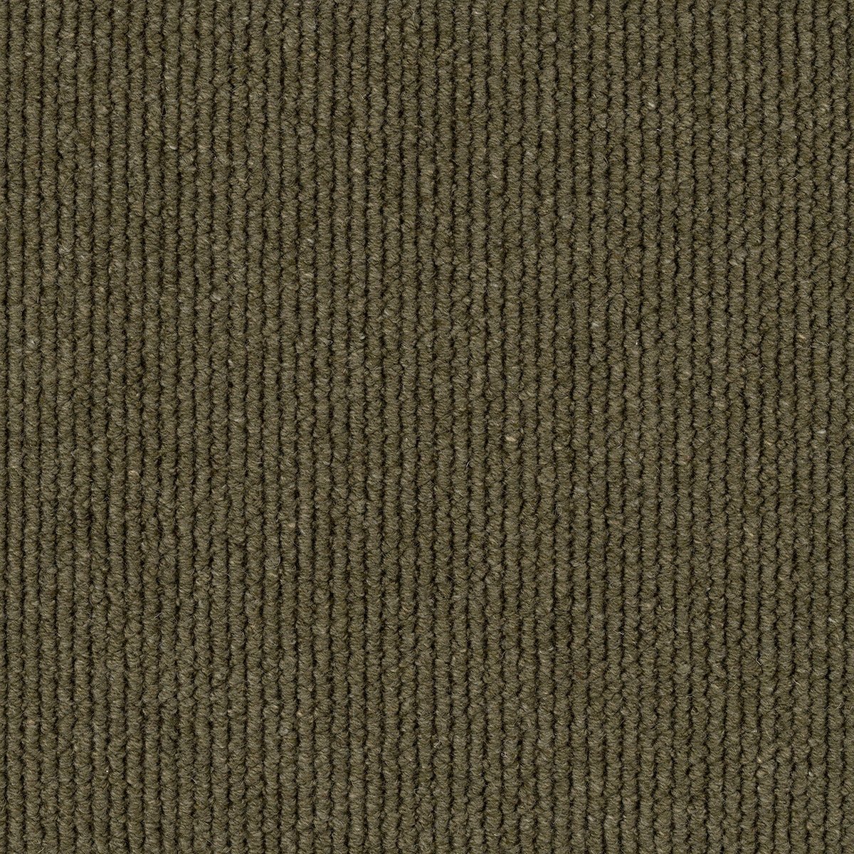 Ridge