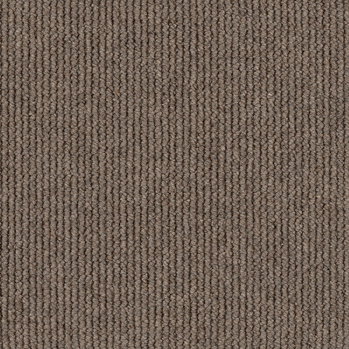 Ridge