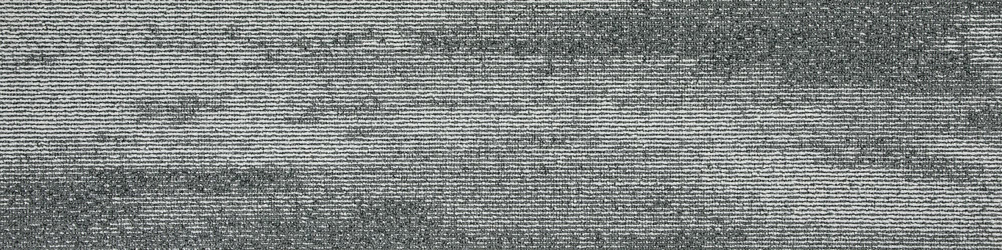 Axis Plank