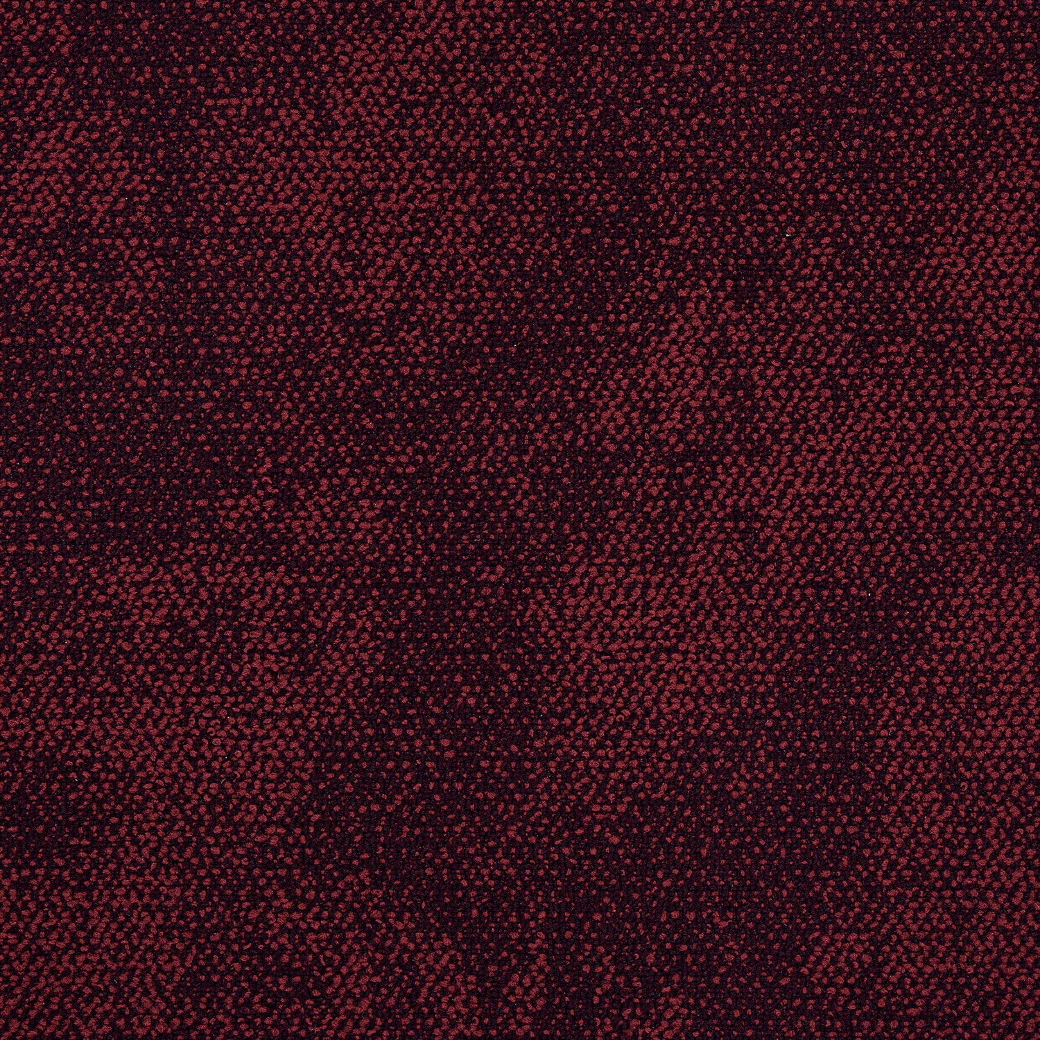 Momentum