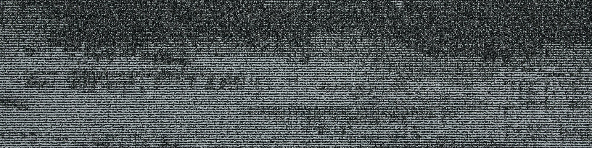 Axis Plank
