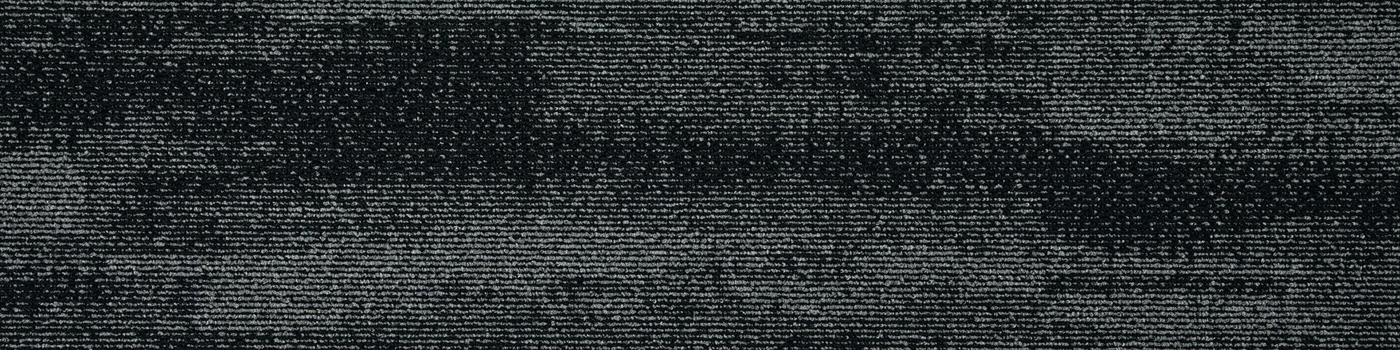 Axis Plank
